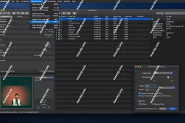 Metadatics for Mac(音频元数据编辑器)