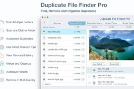Duplicate File Finder Pro for mac(重复文件快速查找器)