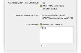 NAMO for Mac v2.0 Mac上本地DNS服务器工具