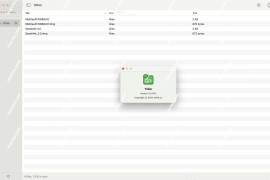 Tidier for Mac(文件管理工具)