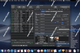 Music Tag Editor Pro for mac(音频标签管理)