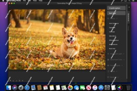Nevercenter CameraBag Photo for Mac(专业照片滤镜工具)