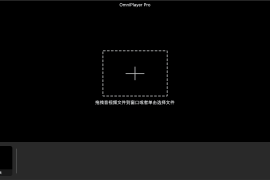 OmniPlayer Pro v2.0.19 &#8211; 高清影音播放器