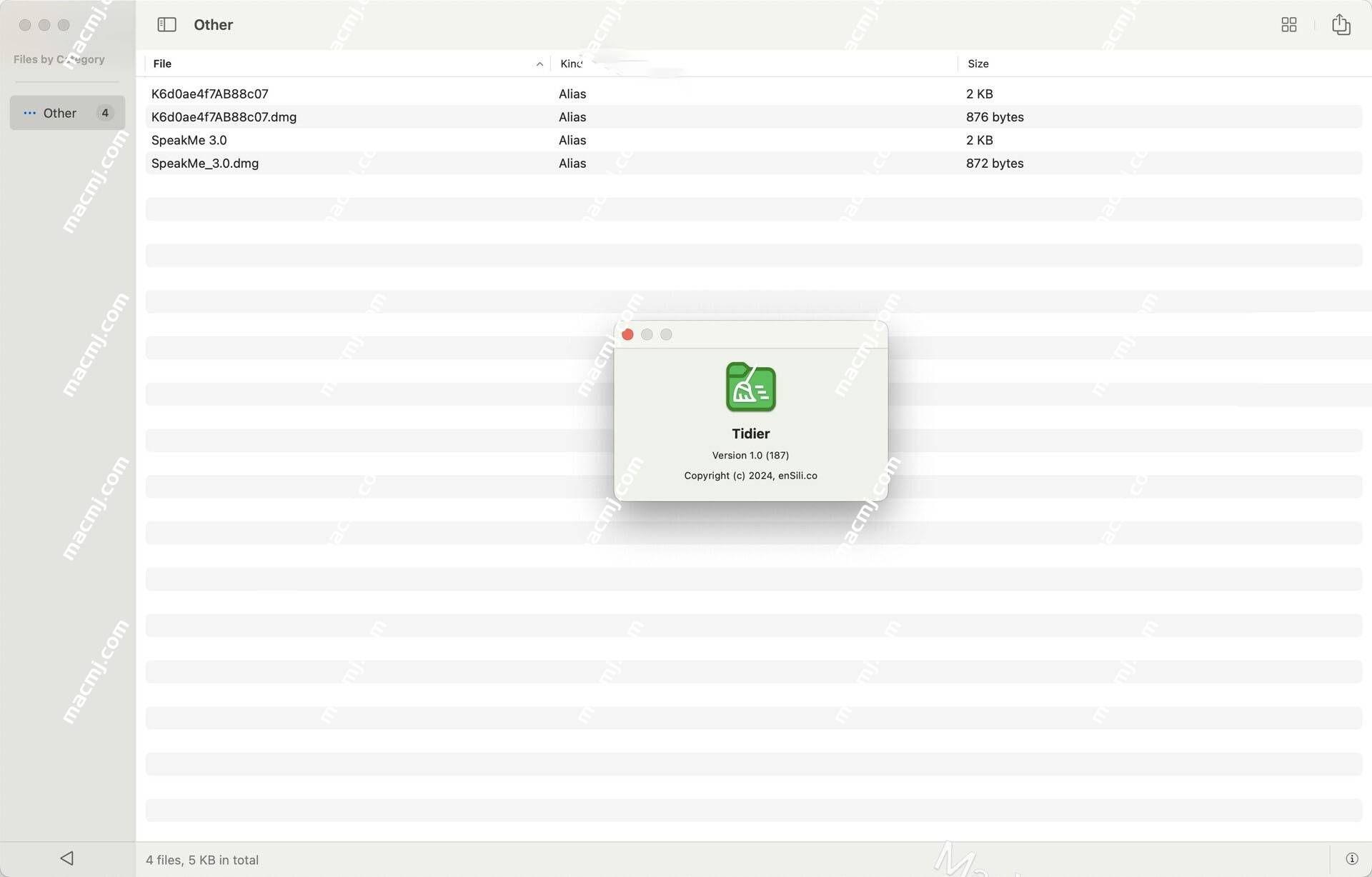 Tidier for Mac(文件管理工具) Tidier for Mac(文件管理工具)