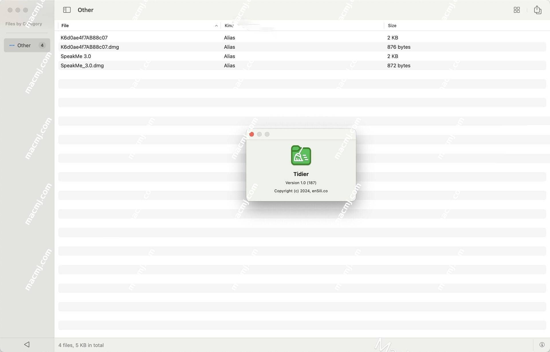 Tidier for Mac(文件管理工具)