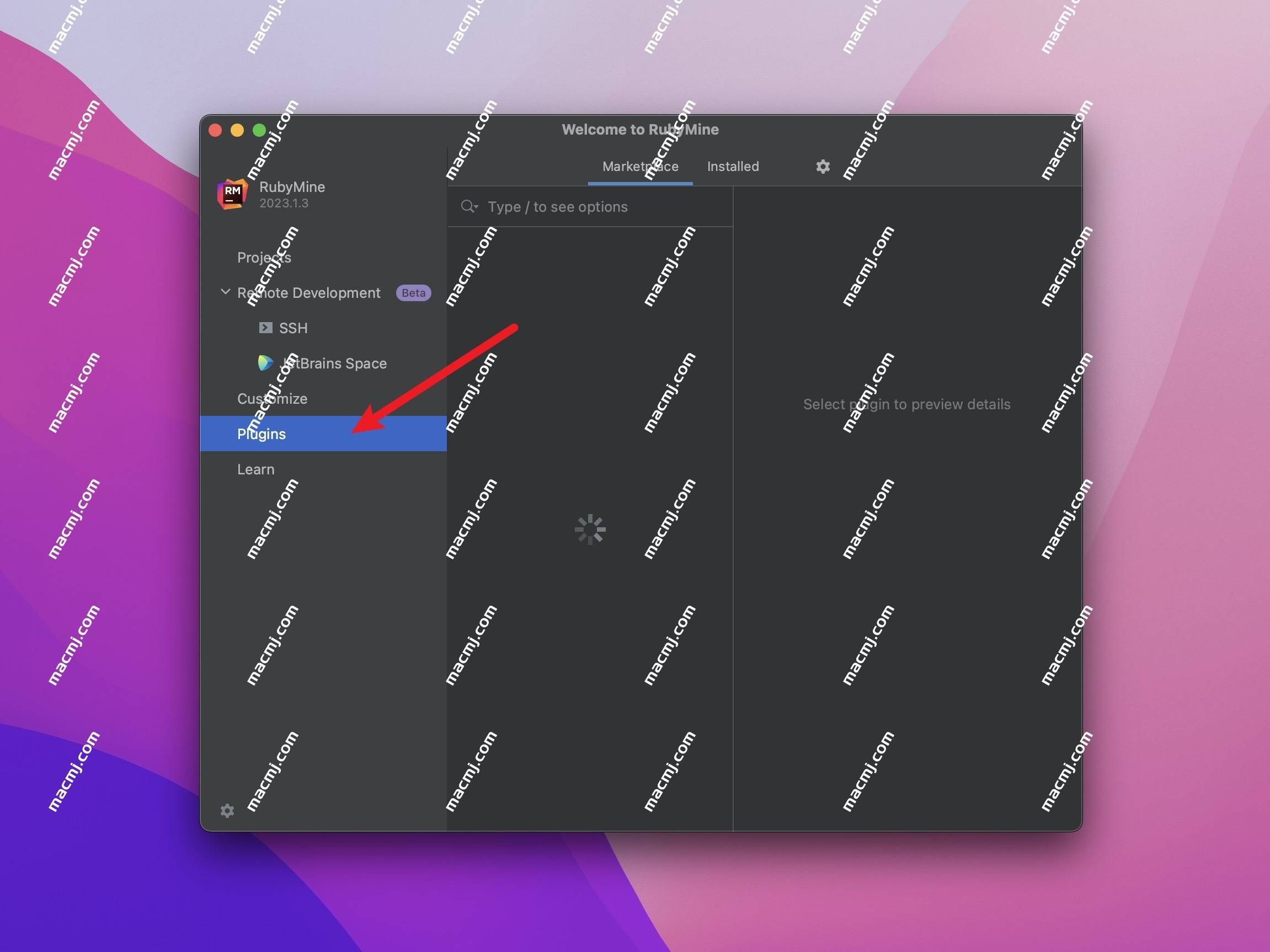 JetBrains RubyMine v2024.1.1 for Mac(Ruby代码编辑器)