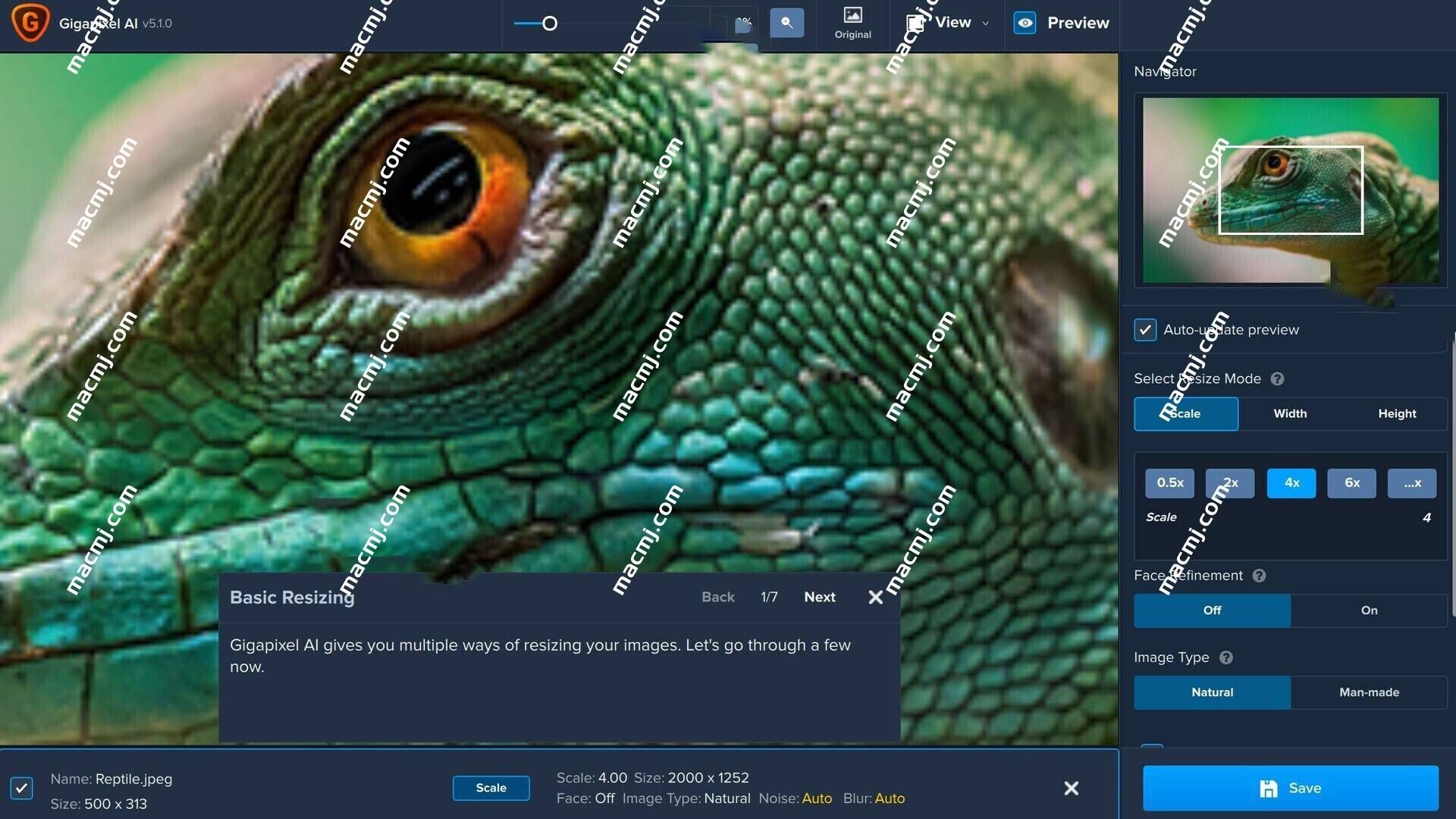 Topaz Gigapixel AI for Mac(照片放大工具) Topaz Gigapixel AI for Mac(照片放大工具)