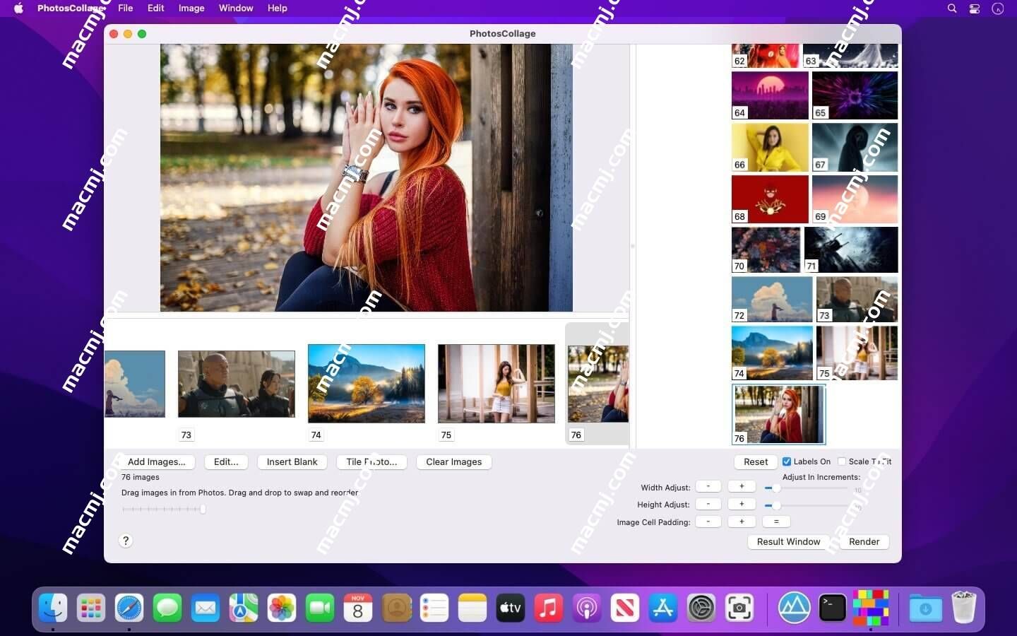 PhotosCollage for Mac(照片拼贴工具) PhotosCollage for Mac(照片拼贴工具)