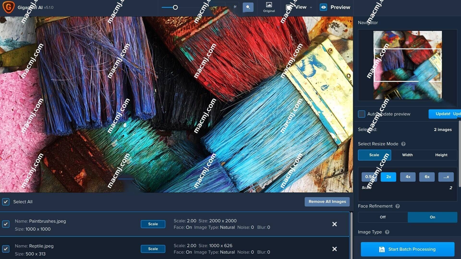Topaz Gigapixel AI for Mac(照片放大工具) Topaz Gigapixel AI for Mac(照片放大工具)